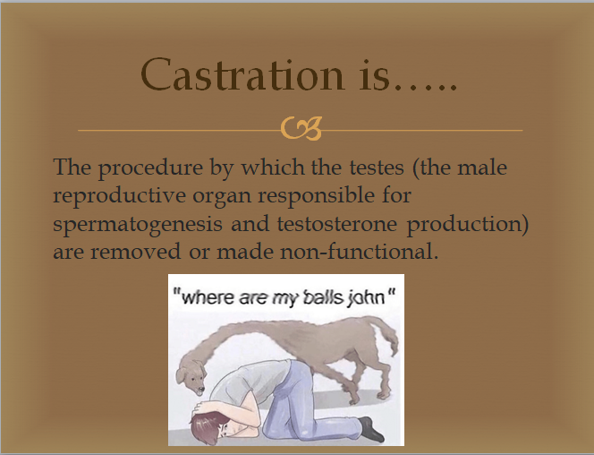 Lab 4 Castration